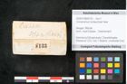 Foto (Objekt + Etikett) von Cinnamomum scheuchzeri Heer (NHMW-GEO-2024-0188-8133)
